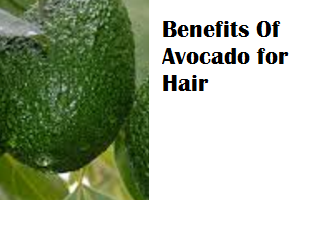 Amazing health benefits of Avocado Butter Fruit Makhanphal - Benefits Of Avocado for Hair Amazing health benefits of Avocado Butter Fruit Makhanphal - Benefits Of Avocado for Hair