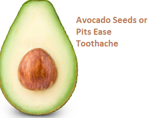 Avocado Seeds or Pits Ease Toothache Avocado Seeds or Pits Ease Toothache