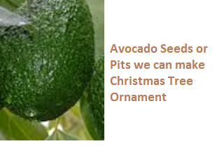Avocado Seeds or Pits we can make Christmas Tree Ornament Avocado Seeds or Pits we can make Christmas Tree Ornament