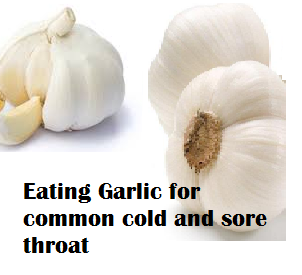 Eating Garlic for common cold and sore throat Eating Garlic for common cold and sore throat