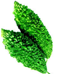 Karela,Aloe Vera,Broccoli Vegetable name in English, Hindi, Marathi Gujarati, Tamil, Telugu Karela,Aloe Vera,Broccoli Vegetable name in English, Hindi, Marathi Gujarati, Tamil, Telugu
