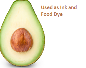 Uses and Benefits of Avocado Seeds or Pits Uses and Benefits of Avocado Seeds or Pits