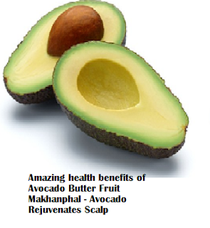 Amazing health benefits of Avocado Butter Fruit Makhanphal - Avocado Rejuvenates Scalp Amazing health benefits of Avocado Butter Fruit Makhanphal - Avocado Rejuvenates Scalp