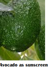 Amazing health benefits of Avocado Butter Fruit Makhanphal - Avocado as sunscreen Amazing health benefits of Avocado Butter Fruit Makhanphal - Avocado as sunscreen