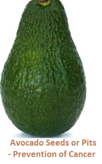 Avocado Seeds or Pits - Prevention of Cancer Avocado Seeds or Pits - Prevention of Cancer