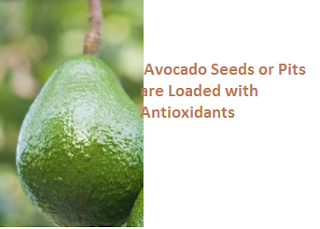 Avocado Seeds or Pits are Loaded with Antioxidants Avocado Seeds or Pits are Loaded with Antioxidants