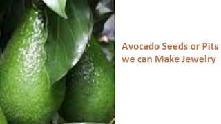 Avocado Seeds or Pits we can Make Jewelry Avocado Seeds or Pits we can Make Jewelry