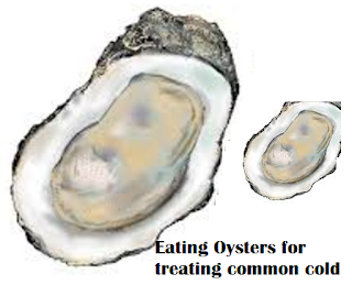 Eating Oysters for treating common cold Eating Oysters for treating common cold
