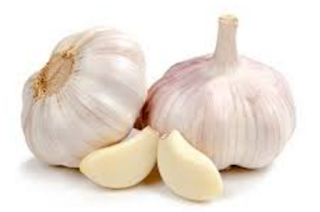 Garlic (lasun) Natural Mosquito Repellant Garlic (lasun) Natural Mosquito Repellant