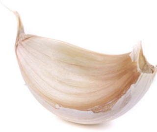 Garlic (lasun) Treat Sore throat and frequent colds Garlic (lasun) Treat Sore throat and frequent colds