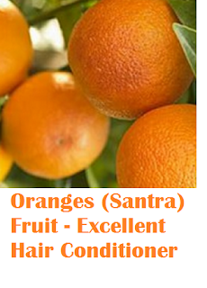 Health benefit of orange santra fruit Oranges (Santra) Fruit - Oranges (Santra) Fruit - Excellent Hair Conditioner Health benefit of orange santra fruit Oranges (Santra) Fruit - Oranges (Santra) Fruit - Excellent Hair Conditioner