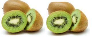 Kiwi Fruit Generation of New Cells Kiwi Fruit Generation of New Cells
