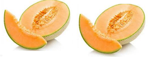 Musk Melon Seeds meaning in English, hindi, telugu,tamil,marathi,Gujrathi,Malayalam,Kannada Musk Melon Seeds meaning in English, hindi, telugu,tamil,marathi,Gujrathi,Malayalam,Kannada