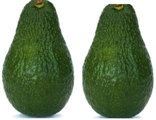 Serious Side Effects Of Avocados (Butter Fruit) We must avoid avocado during pregnancy and breast feeding Serious Side Effects Of Avocados (Butter Fruit) We must avoid avocado during pregnancy and breast feeding