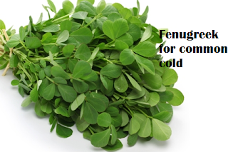 Using fenugreek for common cold Using fenugreek for common cold