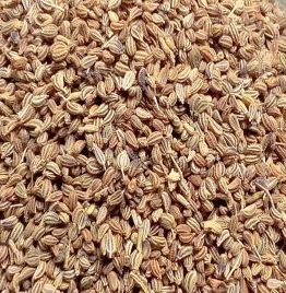 Ajwain - Carom Seeds for Culinary Recipes Ajwain - Carom Seeds for Culinary Recipes