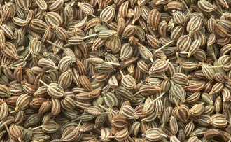 Ajwain Carom Seeds Tea Ajwain Carom Seeds Tea