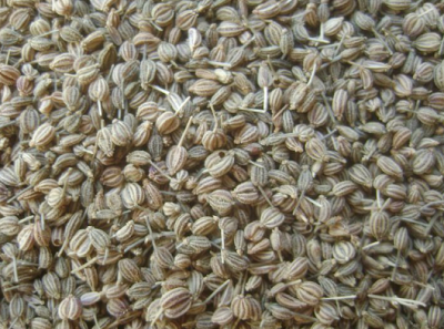 Ajwain Carom Seeds for Spice Ajwain Carom Seeds for Spice