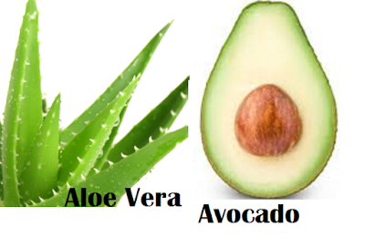 Aloe Vera and Avocado Mask for Dry Skin Best homemade facial masks treatments for dry skin Aloe Vera and Avocado Mask for Dry Skin Best homemade facial masks treatments for dry skin