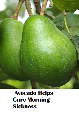 Amazing health benefits of Avocado Butter Fruit Makhanphal - Avocado Helps Cure Morning Sickness Amazing health benefits of Avocado Butter Fruit Makhanphal - Avocado Helps Cure Morning Sickness