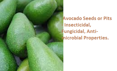 Avocado Seeds or Pits - Insecticidal, Fungicidal, Anti-microbial Properties. Avocado Seeds or Pits - Insecticidal, Fungicidal, Anti-microbial Properties.