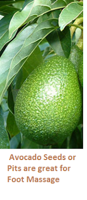 Avocado Seeds or Pits are great for Foot Massage Avocado Seeds or Pits are great for Foot Massage