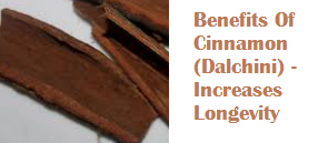 Benefits Of Cinnamon (Dalchini) - Increases Longevity Benefits Of Cinnamon (Dalchini) - Increases Longevity