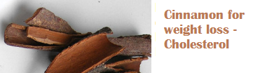Cinnamon for weight loss - Cholesterol Cinnamon for weight loss - Cholesterol