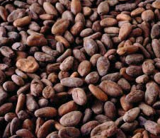 Cocoa Butter and Coconut Oil Moisturizer homemade facial masks treatments for dry skin Cocoa Butter and Coconut Oil Moisturizer homemade facial masks treatments for dry skin