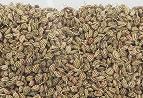 Different Uses of Ajwain (Carom Seeds) for Culinary Recipes,Spice and tea Different Uses of Ajwain (Carom Seeds) for Culinary Recipes,Spice and tea
