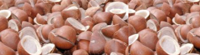Dried Coconut meaning in English, hindi, telugu,tamil,marathi,Gujrathi,Malayalam,Kannada Dried Coconut meaning in English, hindi, telugu,tamil,marathi,Gujrathi,Malayalam,Kannada