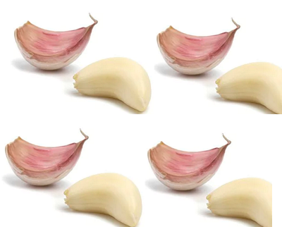 Garlic (lasun) Bone Health in Women Garlic (lasun) Bone Health in Women
