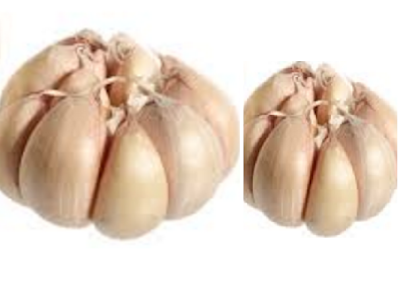 Garlic (lasun) Help you lose weight Garlic (lasun) Help you lose weight
