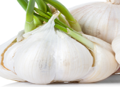 Garlic (lasun) Help you reduce the level of bad cholesterol Garlic (lasun) Help you reduce the level of bad cholesterol