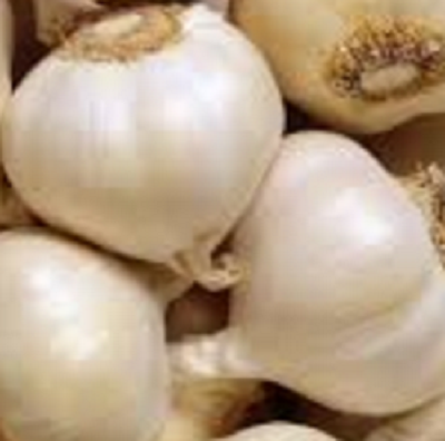 Garlic (lasun) Maintain the blood pressure level Garlic (lasun) Maintain the blood pressure level