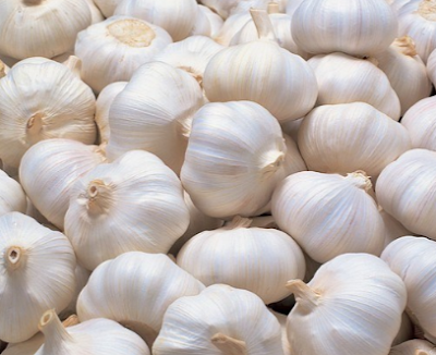 Garlic (lasun) Prevent the formation of Clots Garlic (lasun) Prevent the formation of Clots