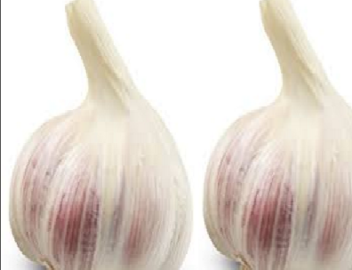 Garlic (lasun) Treat Iron deficiency and Anemia Garlic (lasun) Treat Iron deficiency and Anemia