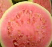 Guava fruit - Improves Circulation