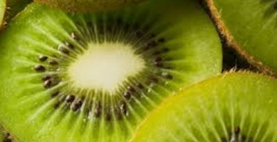 Kiwi Fruit Pre-biotic Property Kiwi Fruit Pre-biotic Property