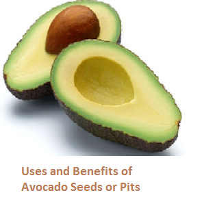 Uses and Benefits of Avocado Seeds or Pits Uses and Benefits of Avocado Seeds or Pits