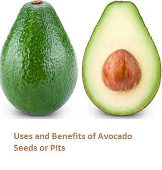 Uses and Benefits of Avocado Seeds or Pits Uses and Benefits of Avocado Seeds or Pits