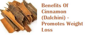Benefits Of Cinnamon (Dalchini) - Promotes Weight Loss Benefits Of Cinnamon (Dalchini) - Promotes Weight Loss