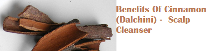 Benefits Of Cinnamon (Dalchini) - Scalp Cleanser Benefits Of Cinnamon (Dalchini) - Scalp Cleanser