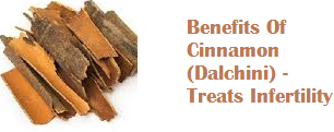 Benefits Of Cinnamon (Dalchini) - Treats Infertility Benefits Of Cinnamon (Dalchini) - Treats Infertility