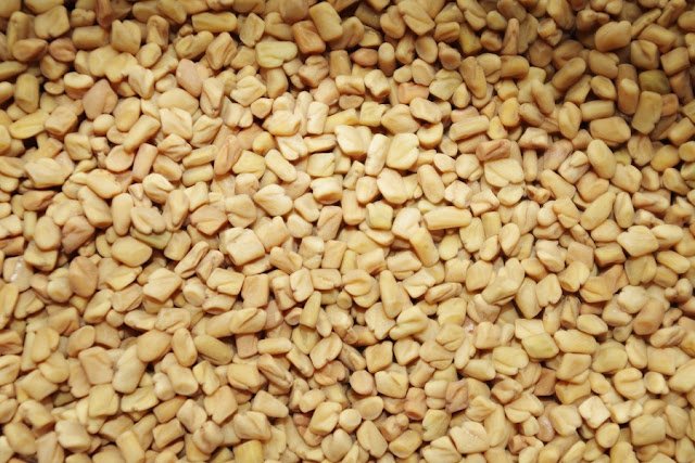 Benefits of Fenugreek, Methi Seeds for Welfare and Good Health Benefits of Fenugreek, Methi Seeds for Welfare and Good Health