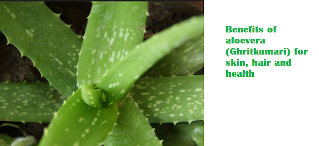 Benefits of aloevera (Ghritkumari) for skin, hair and health Benefits of aloevera (Ghritkumari) for skin, hair and health