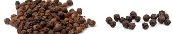Black Pepper (Kalimirch) Spice Name in Hindi, different Indian languages (regional)