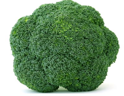 Broccoli - How to Select and Store? Broccoli - How to Select and Store?