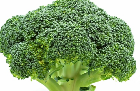 Broccoli Nutrition Facts and Value Broccoli Nutrition Facts and Value