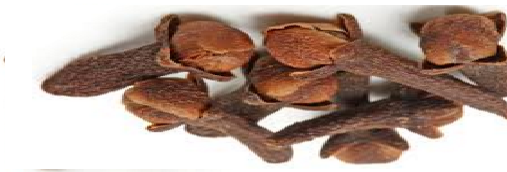 Cloves (Lavang) Spice in different Indian languages (regional)